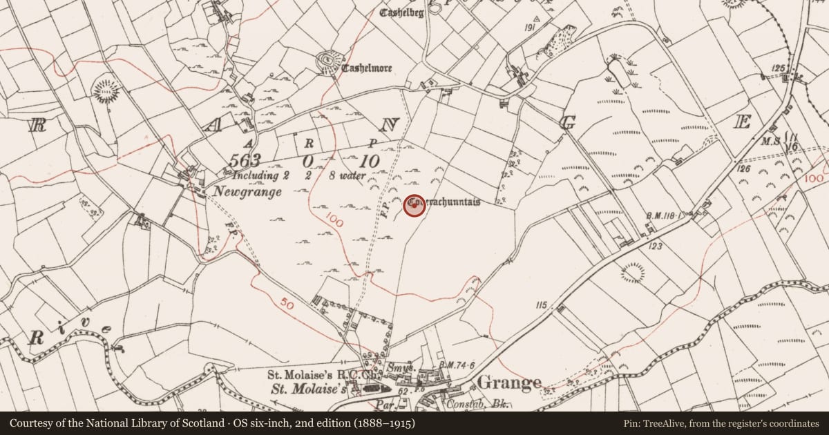 Ordnance Survey six-inch map, 2nd edition (1888–1915) covering the location of Burnt mound, Grange, County Sligo, with a pin at the register's coordinates