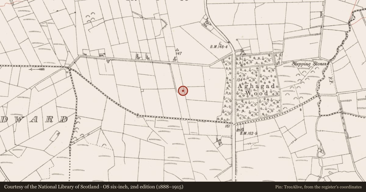 Ordnance Survey six-inch map, 2nd edition (1888–1915) covering the location of Fulacht fia, Aghagad, County Sligo, with a pin at the register's coordinates