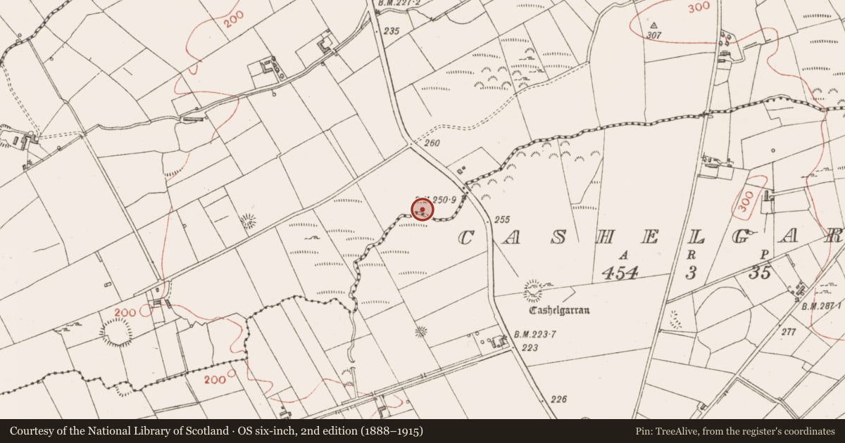 Ordnance Survey six-inch map, 2nd edition (1888–1915) covering the location of Fulacht fia, Mullaghnaneane, County Sligo, with a pin at the register's coordinates