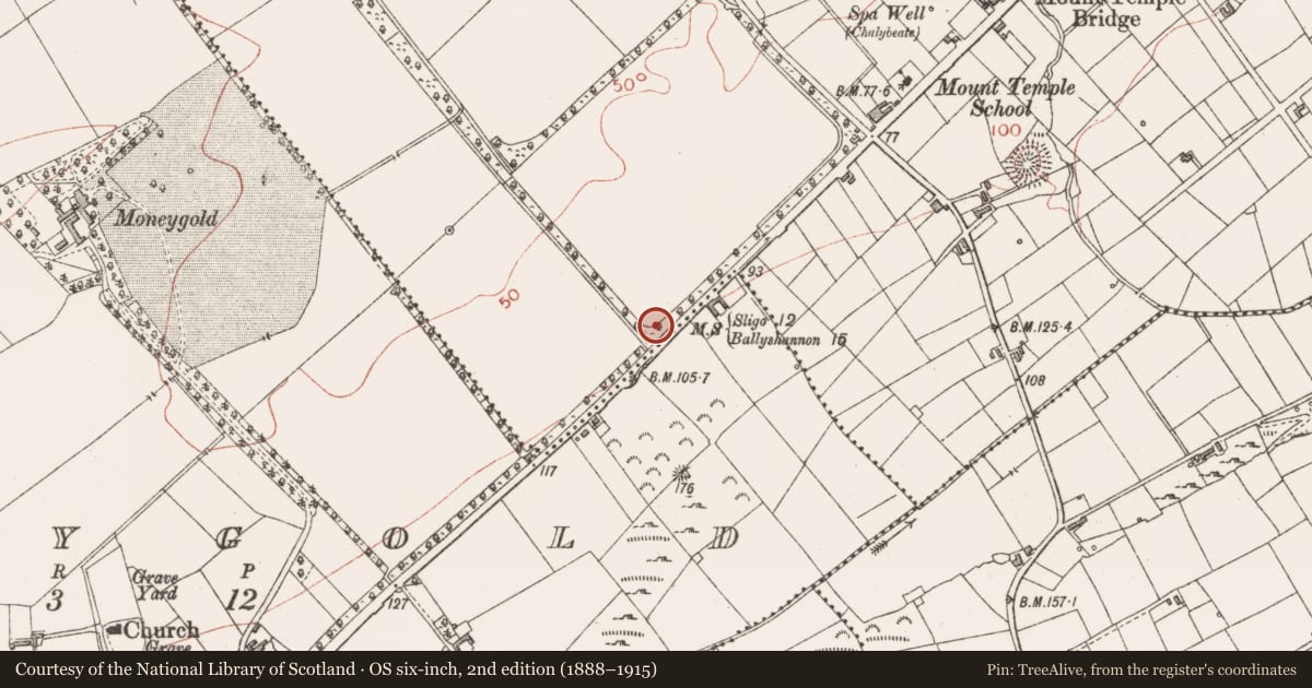 Ordnance Survey six-inch map, 2nd edition (1888–1915) covering the location of Bullaun stone, Mount Temple, County Sligo, with a pin at the register's coordinates