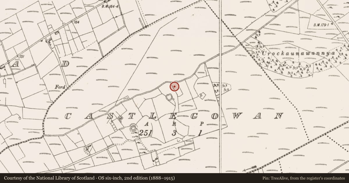 Ordnance Survey six-inch map, 2nd edition (1888–1915) covering the location of Fulacht fia, Castlegowan, County Sligo, with a pin at the register's coordinates