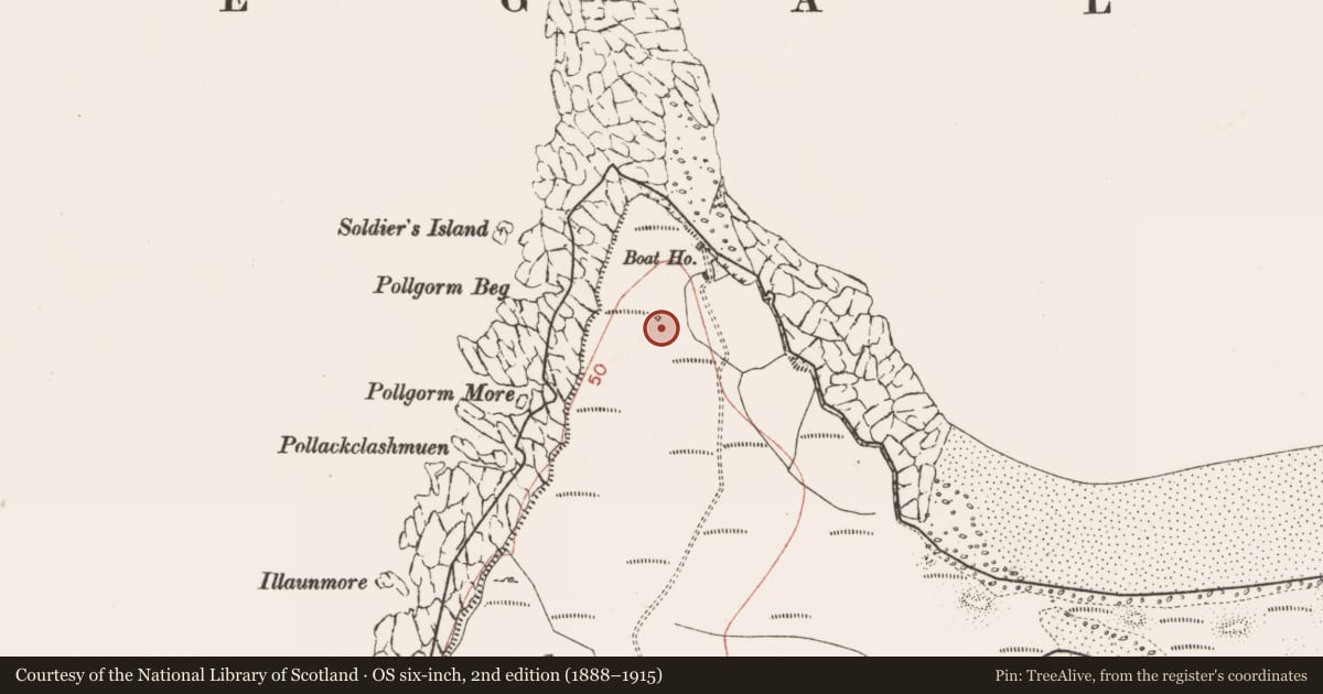 Ordnance Survey six-inch map, 2nd edition (1888–1915) covering the location of Signal tower, Streedagh, County Sligo, with a pin at the register's coordinates