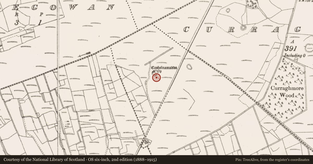 Ordnance Survey six-inch map, 2nd edition (1888–1915) covering the location of Ringfort - cashel, Gortnadrung, County Sligo, with a pin at the register's coordinates