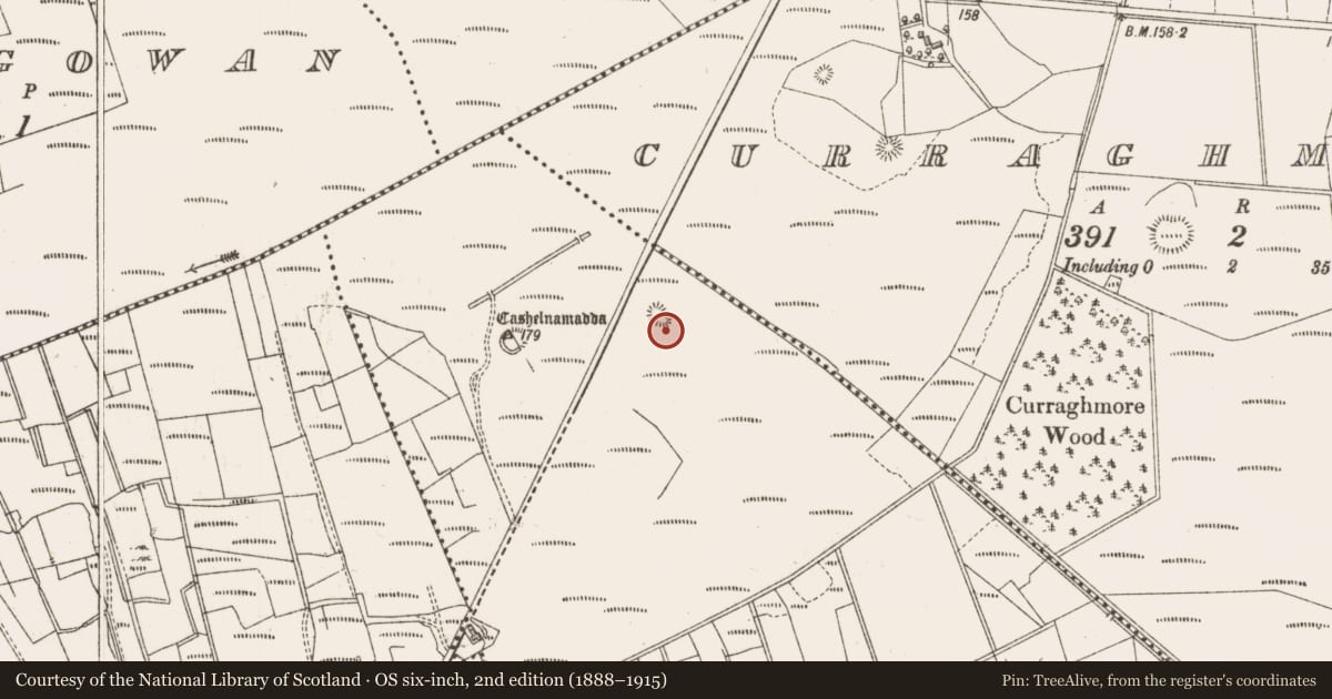 Ordnance Survey six-inch map, 2nd edition (1888–1915) covering the location of Enclosure, Gortnadrung, County Sligo, with a pin at the register's coordinates