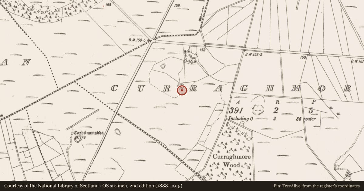 Ordnance Survey six-inch map, 2nd edition (1888–1915) covering the location of Ringfort - cashel, Curraghmore, County Sligo, with a pin at the register's coordinates