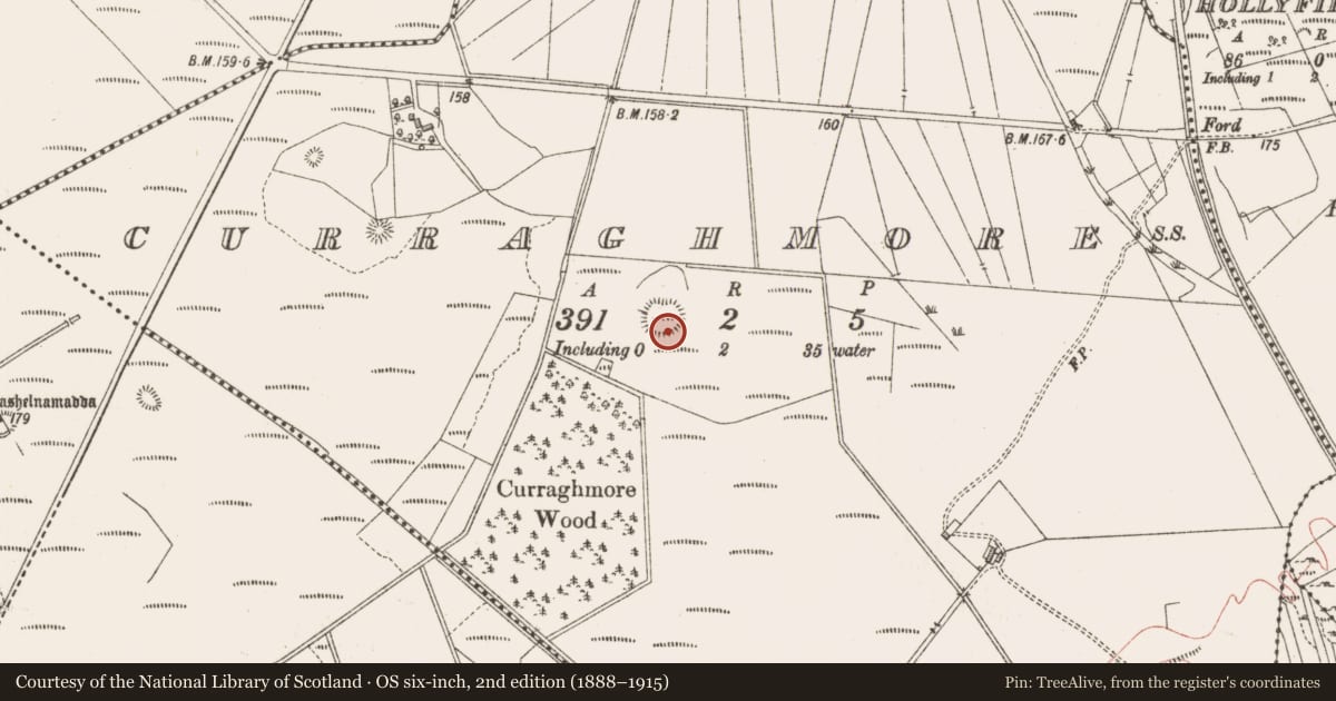 Ordnance Survey six-inch map, 2nd edition (1888–1915) covering the location of Enclosure, Curraghmore, County Sligo, with a pin at the register's coordinates