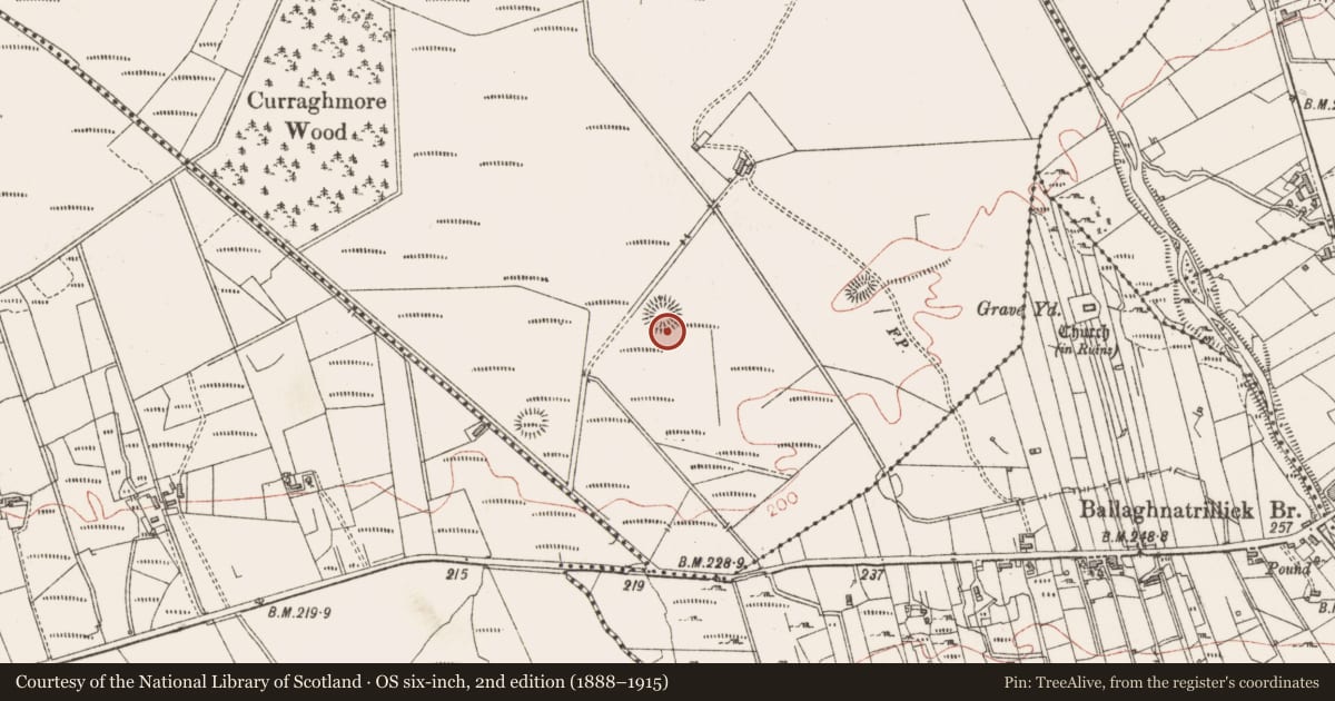 Ordnance Survey six-inch map, 2nd edition (1888–1915) covering the location of Ringfort - rath, Curraghmore, County Sligo, with a pin at the register's coordinates