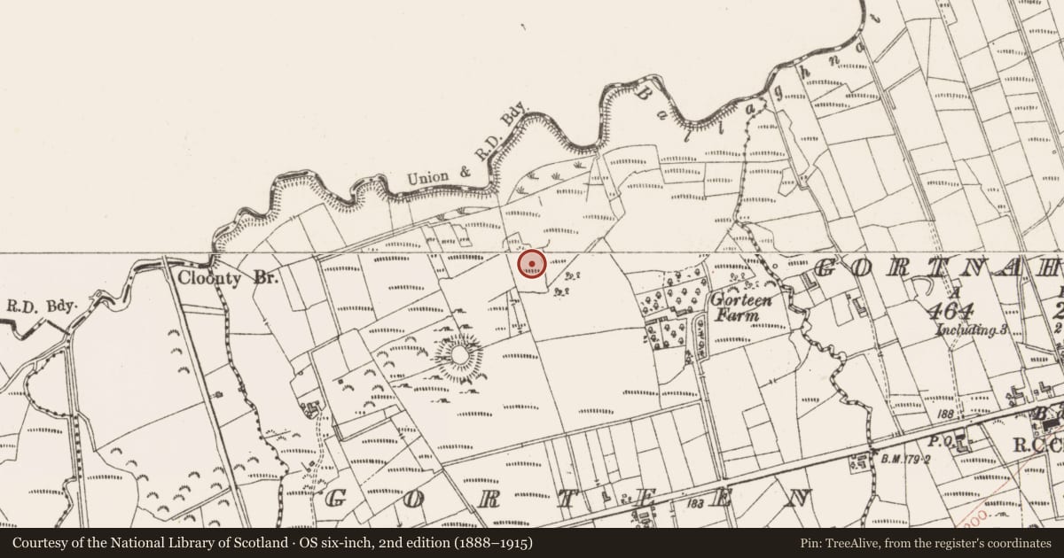 Ordnance Survey six-inch map, 2nd edition (1888–1915) covering the location of Ringfort - cashel, Gorteen, County Sligo, with a pin at the register's coordinates