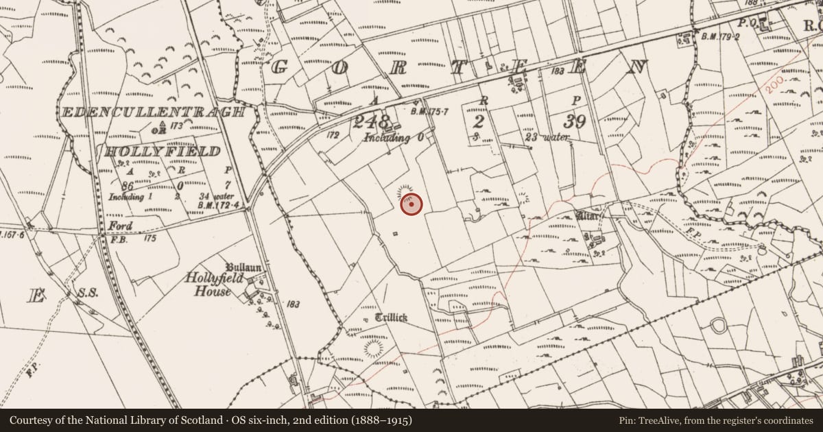 Ordnance Survey six-inch map, 2nd edition (1888–1915) covering the location of Ringfort - cashel, Gorteen, County Sligo, with a pin at the register's coordinates