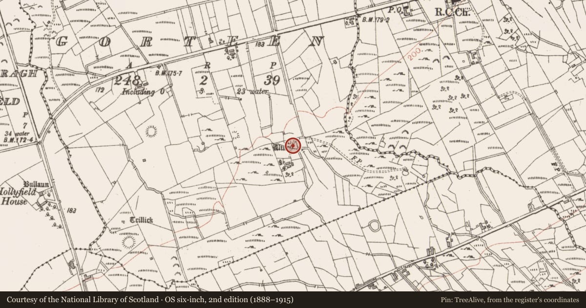 Ordnance Survey six-inch map, 2nd edition (1888–1915) covering the location of Ringfort - cashel, Gorteen, County Sligo, with a pin at the register's coordinates