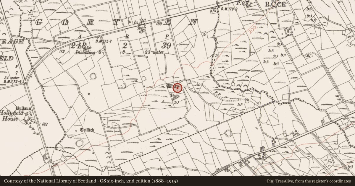 Ordnance Survey six-inch map, 2nd edition (1888–1915) covering the location of Cross, Gorteen, County Sligo, with a pin at the register's coordinates