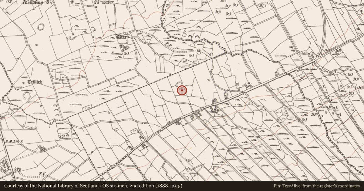 Ordnance Survey six-inch map, 2nd edition (1888–1915) covering the location of Ringfort - cashel, Mullanfad, County Sligo, with a pin at the register's coordinates