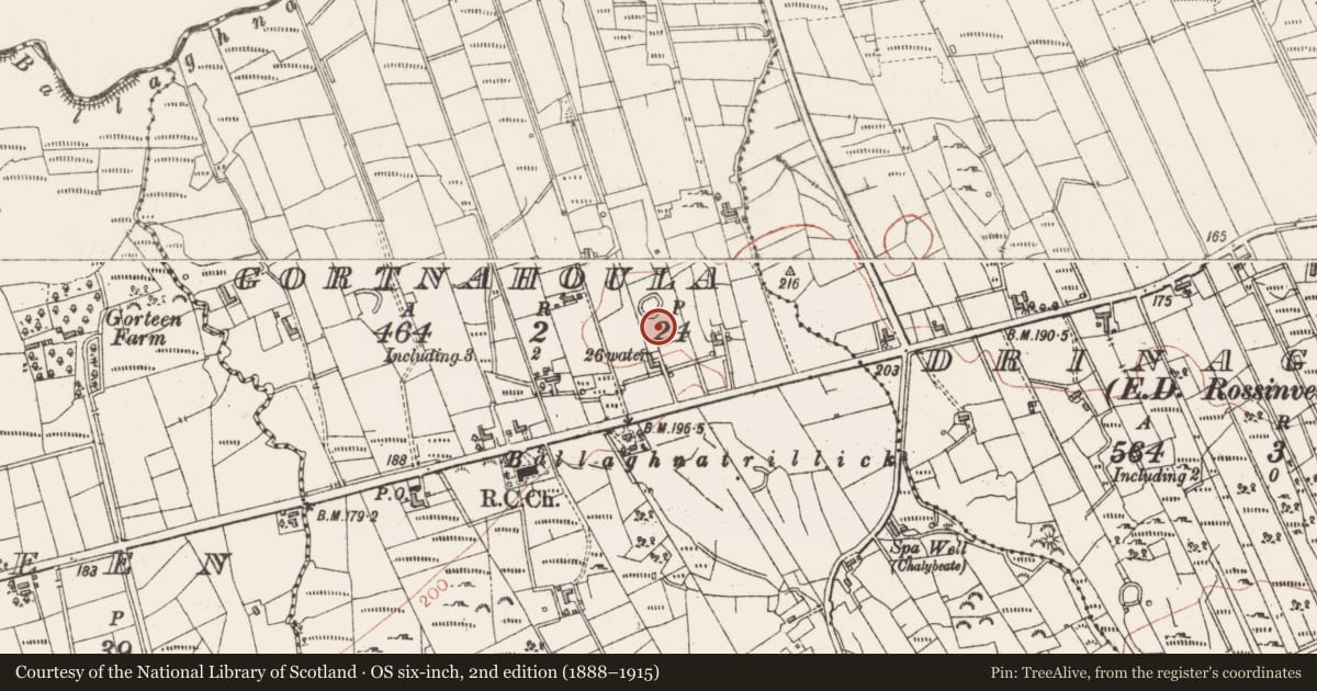 Ordnance Survey six-inch map, 2nd edition (1888–1915) covering the location of Ringfort - cashel, Gortnahoula, County Sligo, with a pin at the register's coordinates