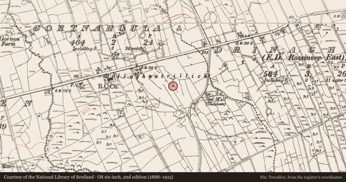 Ordnance Survey six-inch map, 2nd edition (1888–1915) covering the location of Ringfort - cashel, Gortnahoula, County Sligo, with a pin at the register's coordinates