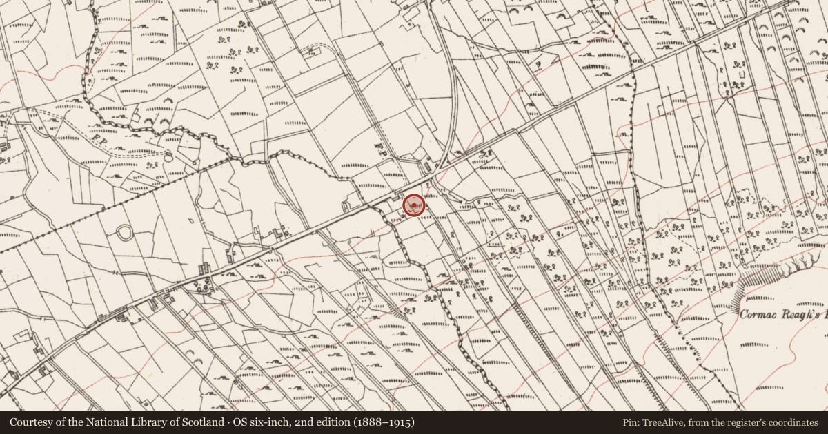 Ordnance Survey six-inch map, 2nd edition (1888–1915) covering the location of Megalithic tomb - court tomb, Gortnahoula, County Sligo, with a pin at the register's coordinates
