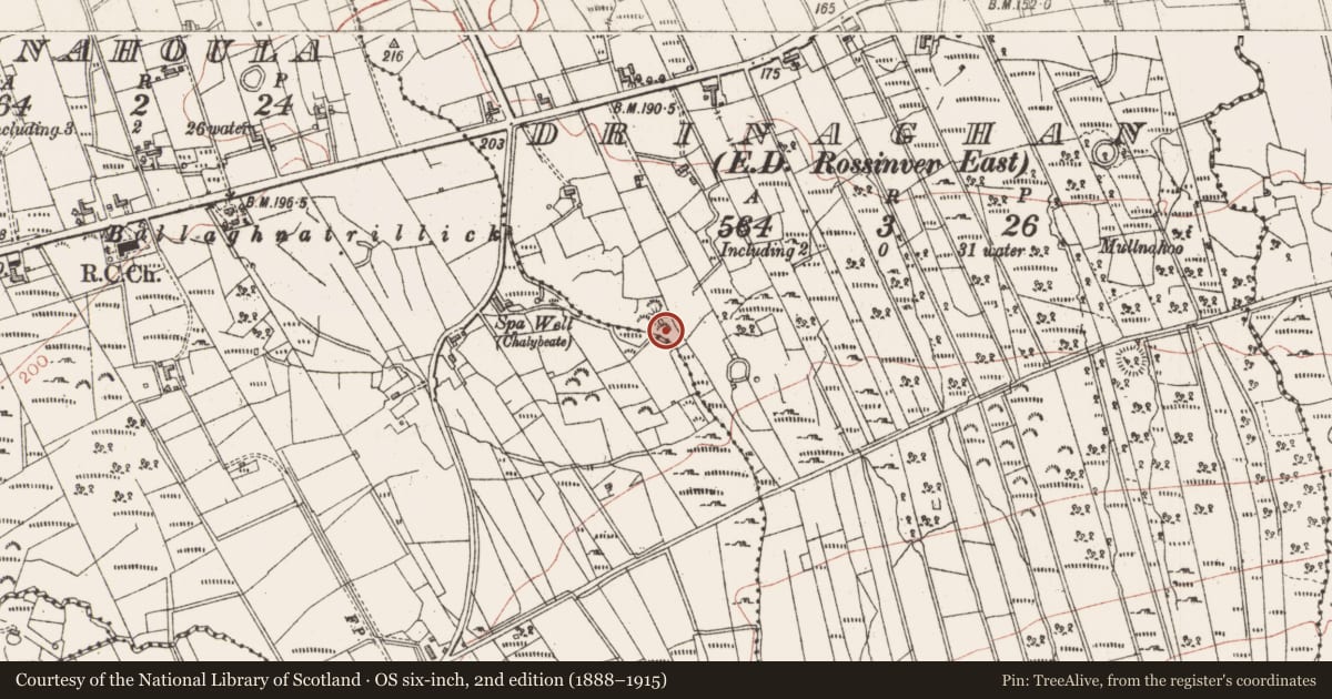 Ordnance Survey six-inch map, 2nd edition (1888–1915) covering the location of Cairn - unclassified, Drinaghan, County Sligo, with a pin at the register's coordinates