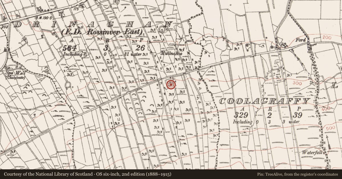 Ordnance Survey six-inch map, 2nd edition (1888–1915) covering the location of Ringfort - cashel, Drinaghan, County Sligo, with a pin at the register's coordinates