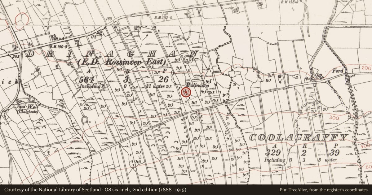 Ordnance Survey six-inch map, 2nd edition (1888–1915) covering the location of Souterrain, Drinaghan, County Sligo, with a pin at the register's coordinates