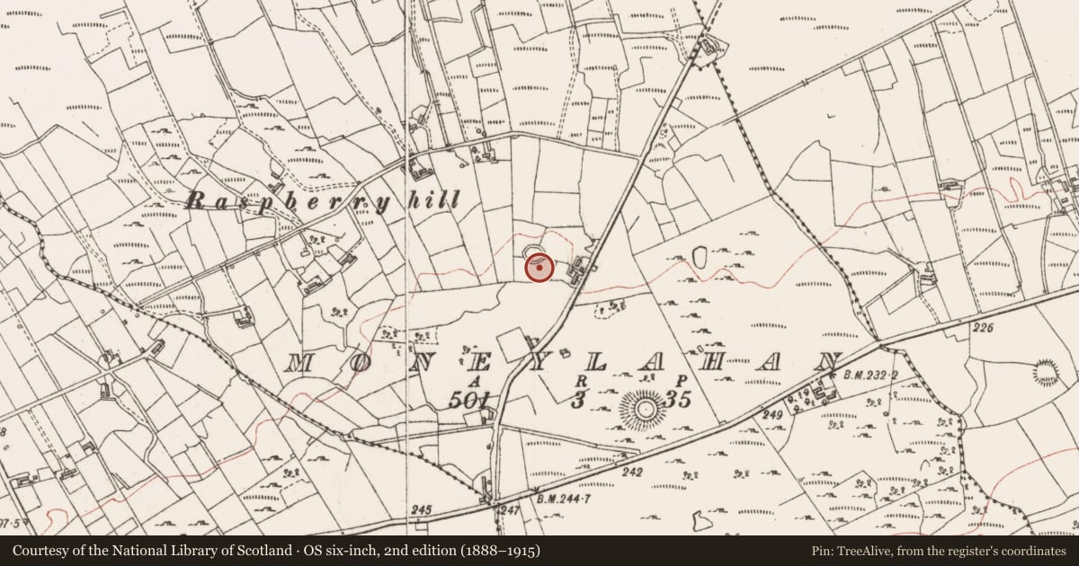Ordnance Survey six-inch map, 2nd edition (1888–1915) covering the location of Ringfort - cashel, Moneylahan, County Sligo, with a pin at the register's coordinates