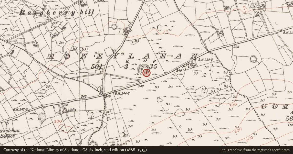 Ordnance Survey six-inch map, 2nd edition (1888–1915) covering the location of Ringfort - cashel, Moneylahan, County Sligo, with a pin at the register's coordinates