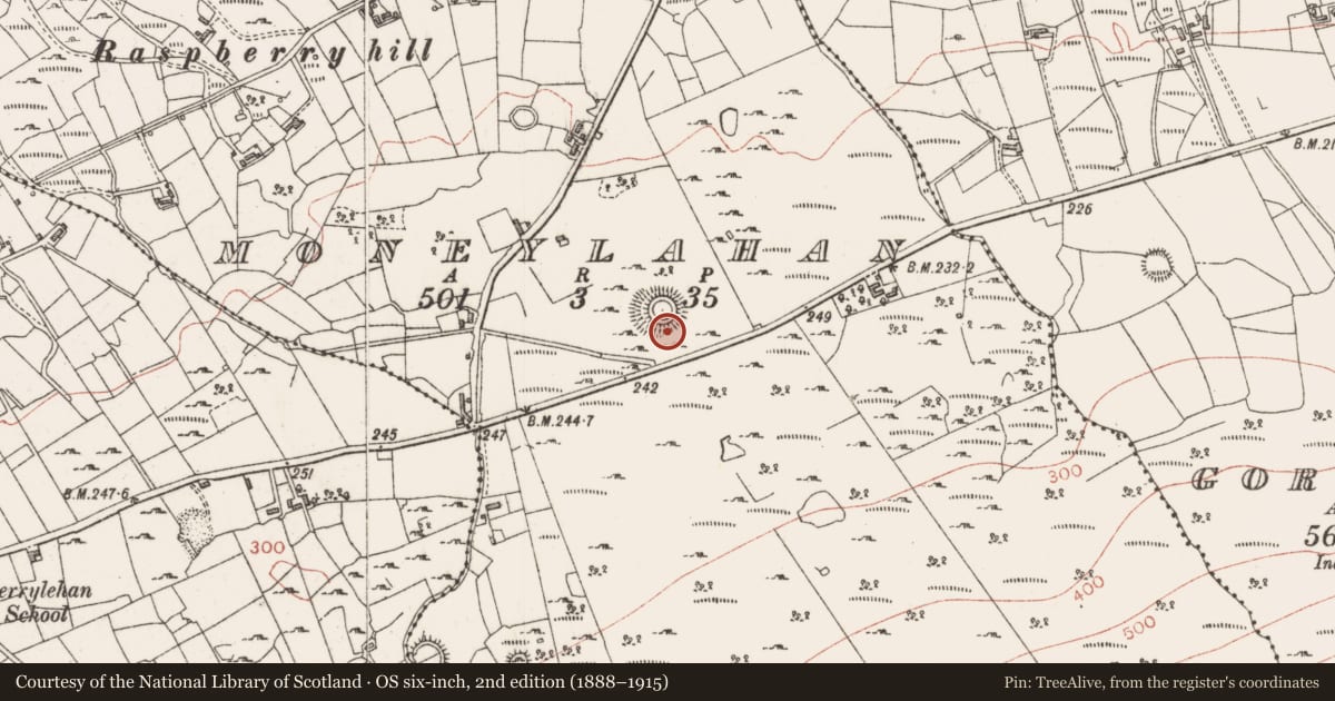 Ordnance Survey six-inch map, 2nd edition (1888–1915) covering the location of Souterrain, Moneylahan, County Sligo, with a pin at the register's coordinates