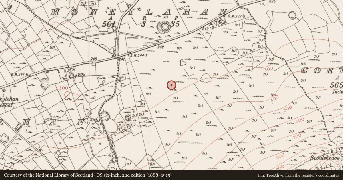 Ordnance Survey six-inch map, 2nd edition (1888–1915) covering the location of Megalithic tomb - court tomb, Moneylahan, County Sligo, with a pin at the register's coordinates