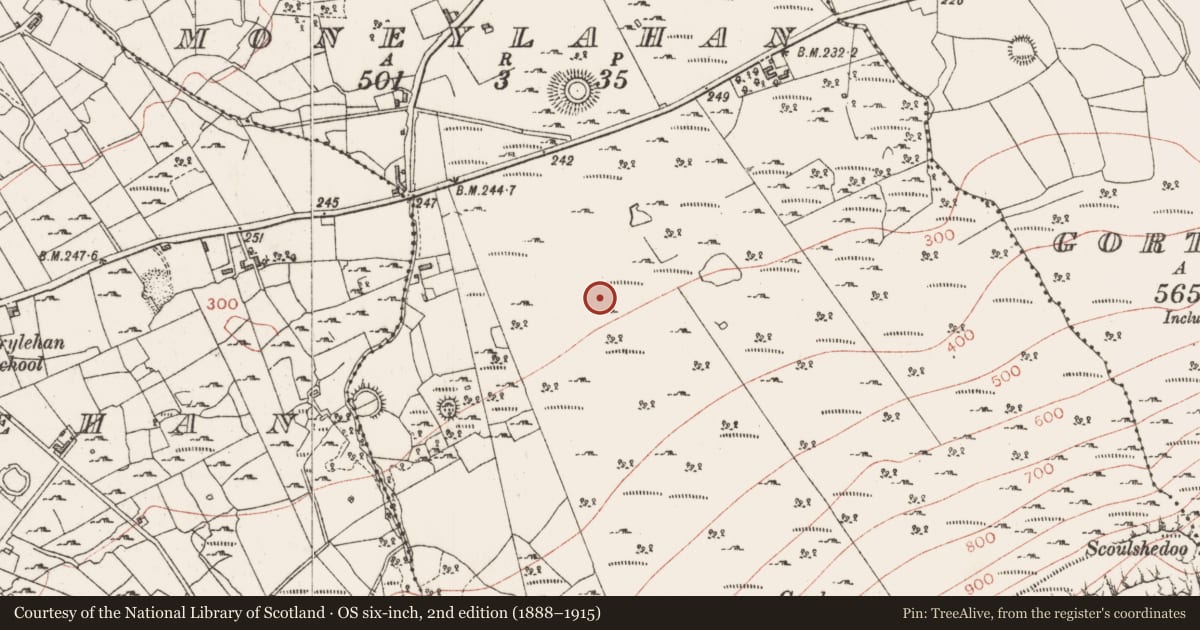 Ordnance Survey six-inch map, 2nd edition (1888–1915) covering the location of Field boundary, Moneylahan, County Sligo, with a pin at the register's coordinates