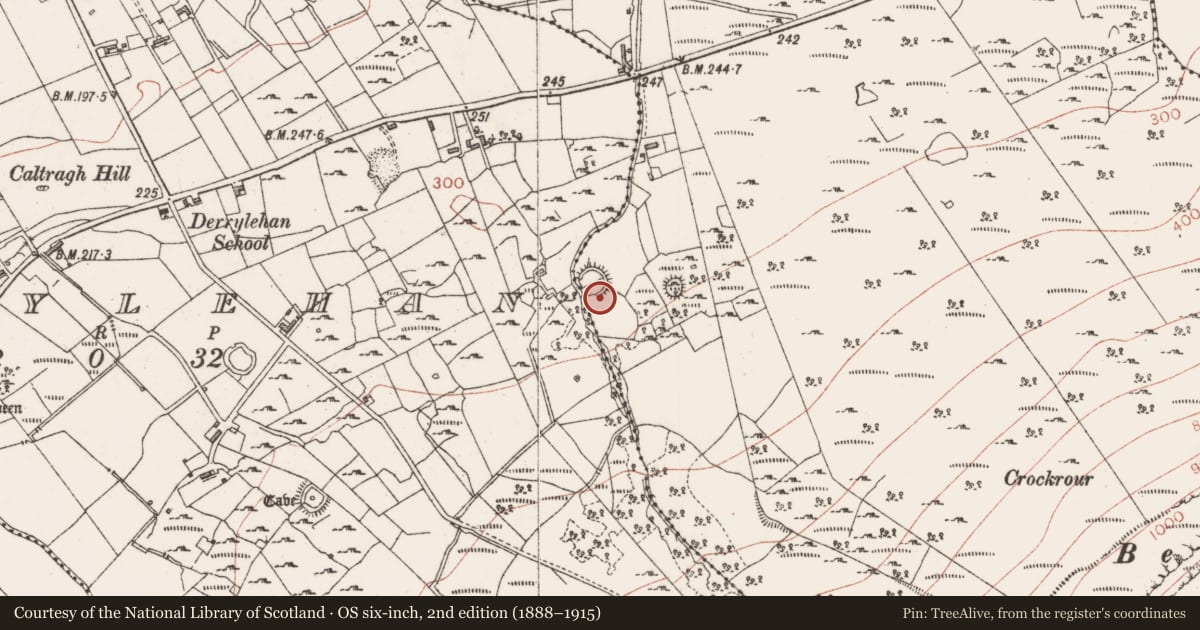 Ordnance Survey six-inch map, 2nd edition (1888–1915) covering the location of Ringfort - cashel, Moneylahan, County Sligo, with a pin at the register's coordinates