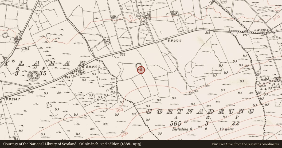 Ordnance Survey six-inch map, 2nd edition (1888–1915) covering the location of Ringfort - unclassified, Gortnadrung, County Sligo, with a pin at the register's coordinates