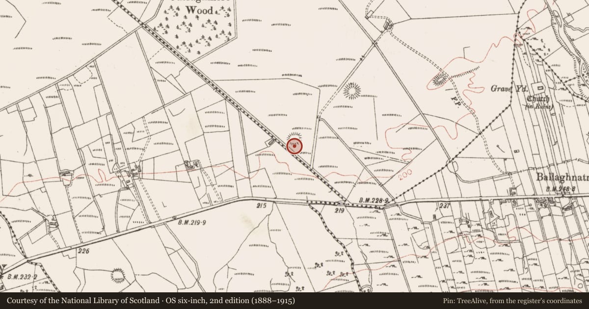 Ordnance Survey six-inch map, 2nd edition (1888–1915) covering the location of Ringfort - rath, Curraghmore, County Sligo, with a pin at the register's coordinates