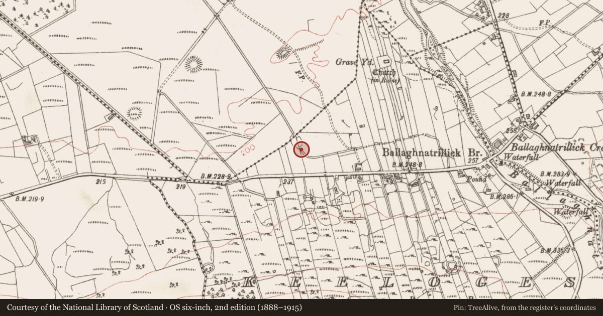 Ordnance Survey six-inch map, 2nd edition (1888–1915) covering the location of Enclosure, Curraghmore, County Sligo, with a pin at the register's coordinates