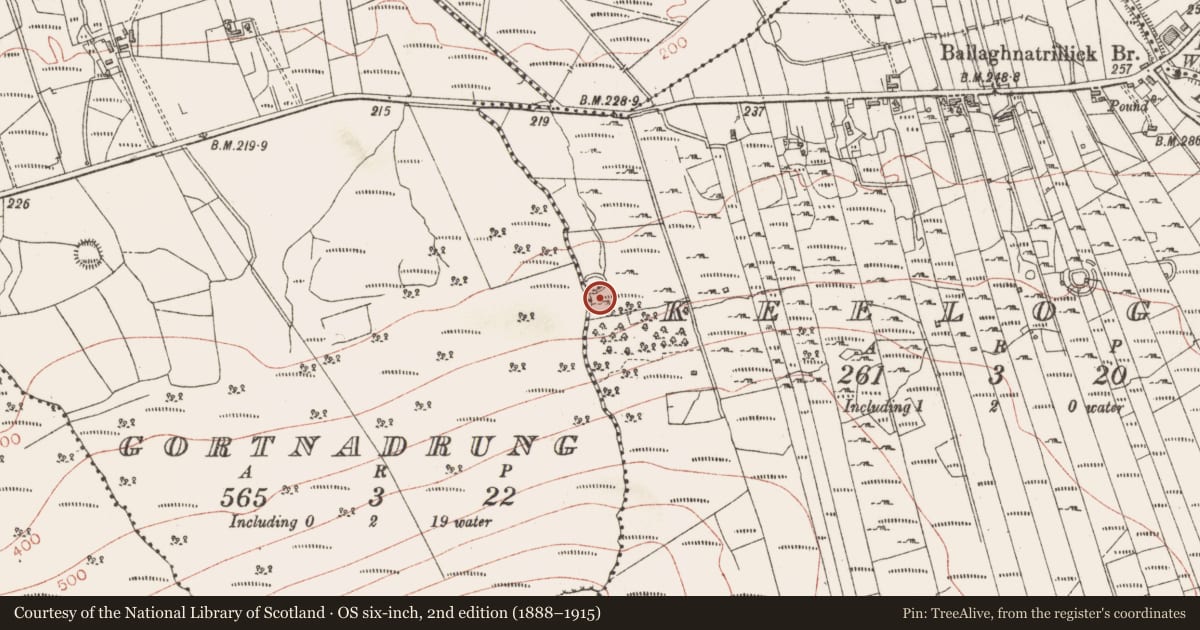 Ordnance Survey six-inch map, 2nd edition (1888–1915) covering the location of Ringfort - cashel, Keeloges, County Sligo, with a pin at the register's coordinates