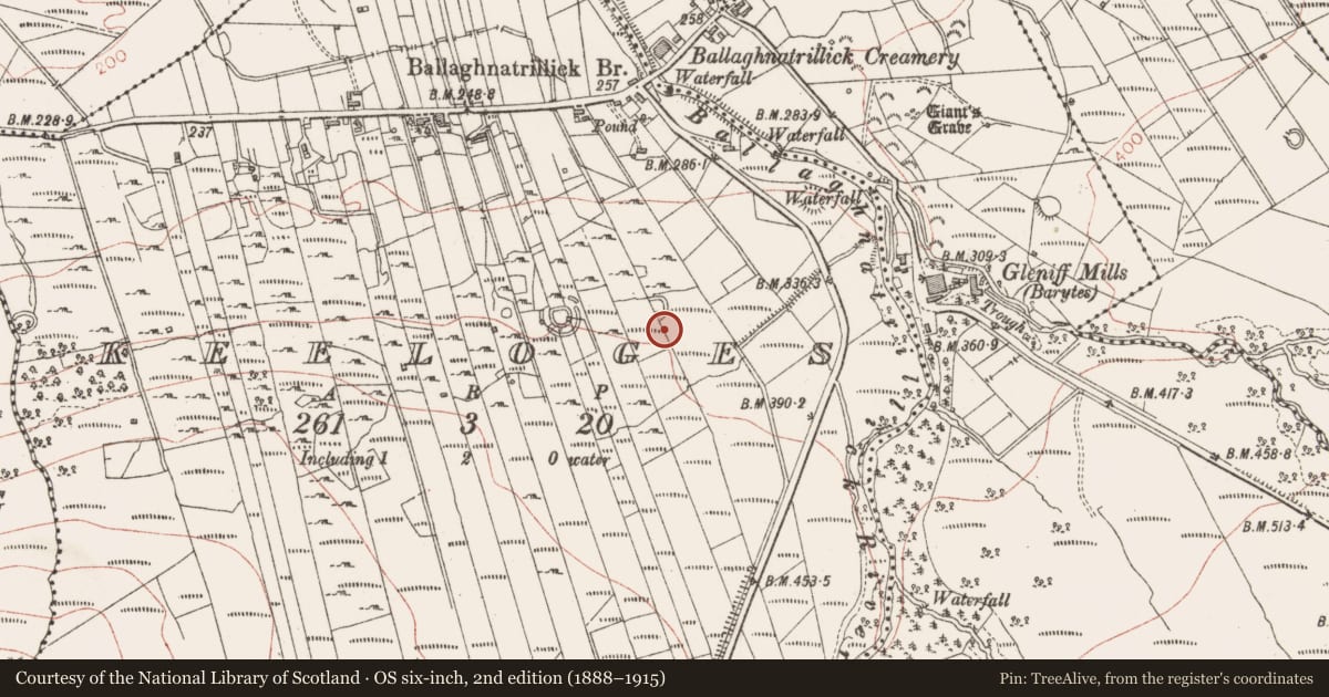 Ordnance Survey six-inch map, 2nd edition (1888–1915) covering the location of Ringfort - cashel, Keeloges, County Sligo, with a pin at the register's coordinates