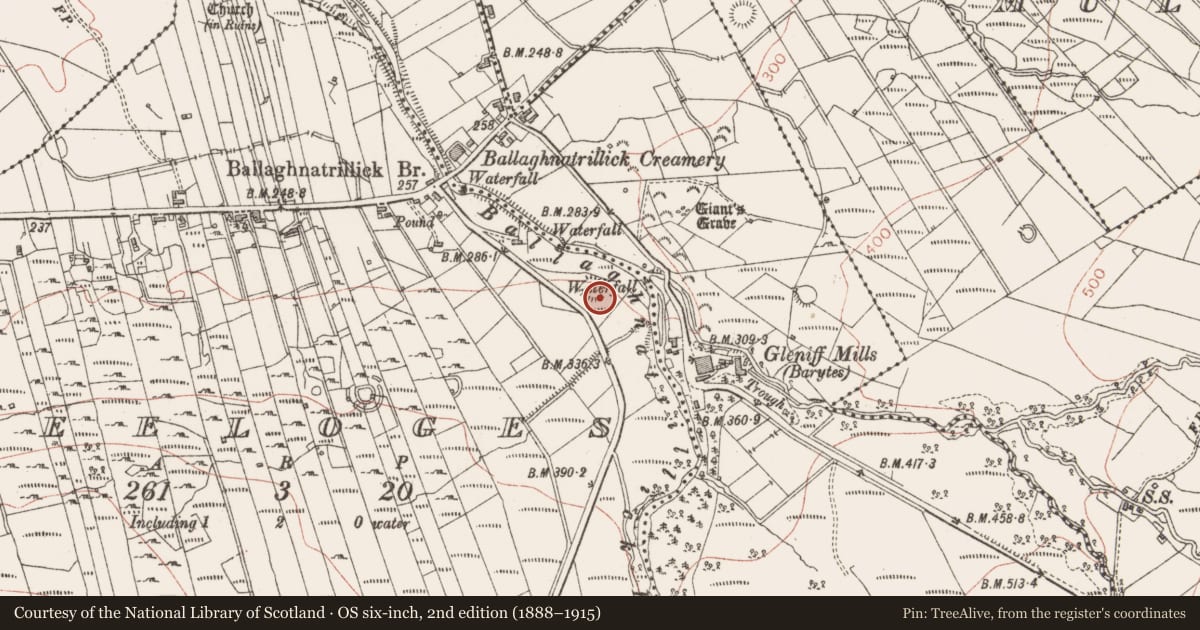 Ordnance Survey six-inch map, 2nd edition (1888–1915) covering the location of Ringfort - rath, Keeloges, County Sligo, with a pin at the register's coordinates