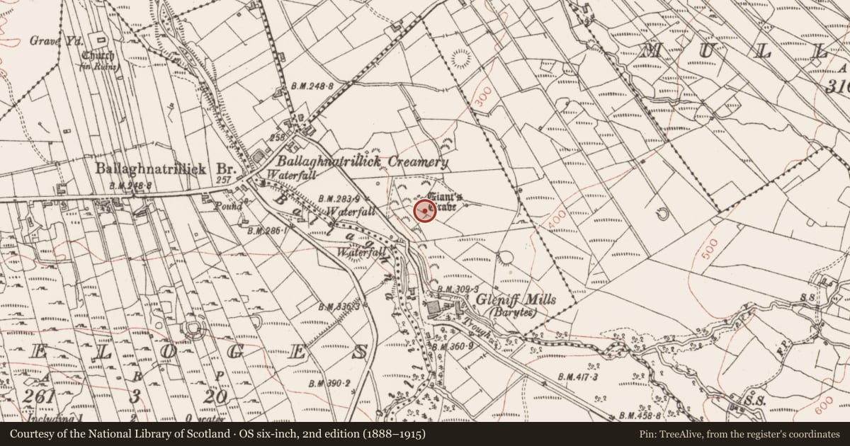 Ordnance Survey six-inch map, 2nd edition (1888–1915) covering the location of Megalithic tomb - wedge tomb, Clogh, County Sligo, with a pin at the register's coordinates