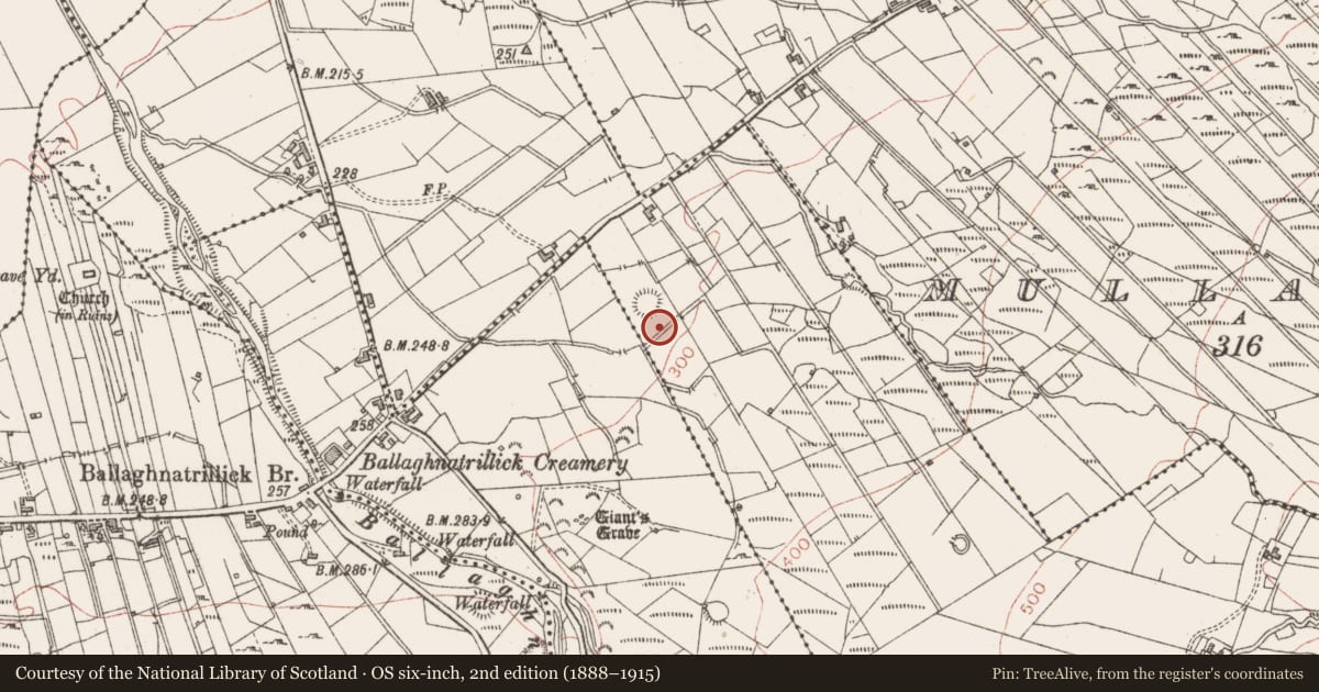 Ordnance Survey six-inch map, 2nd edition (1888–1915) covering the location of Hut site, Shancrock, County Sligo, with a pin at the register's coordinates