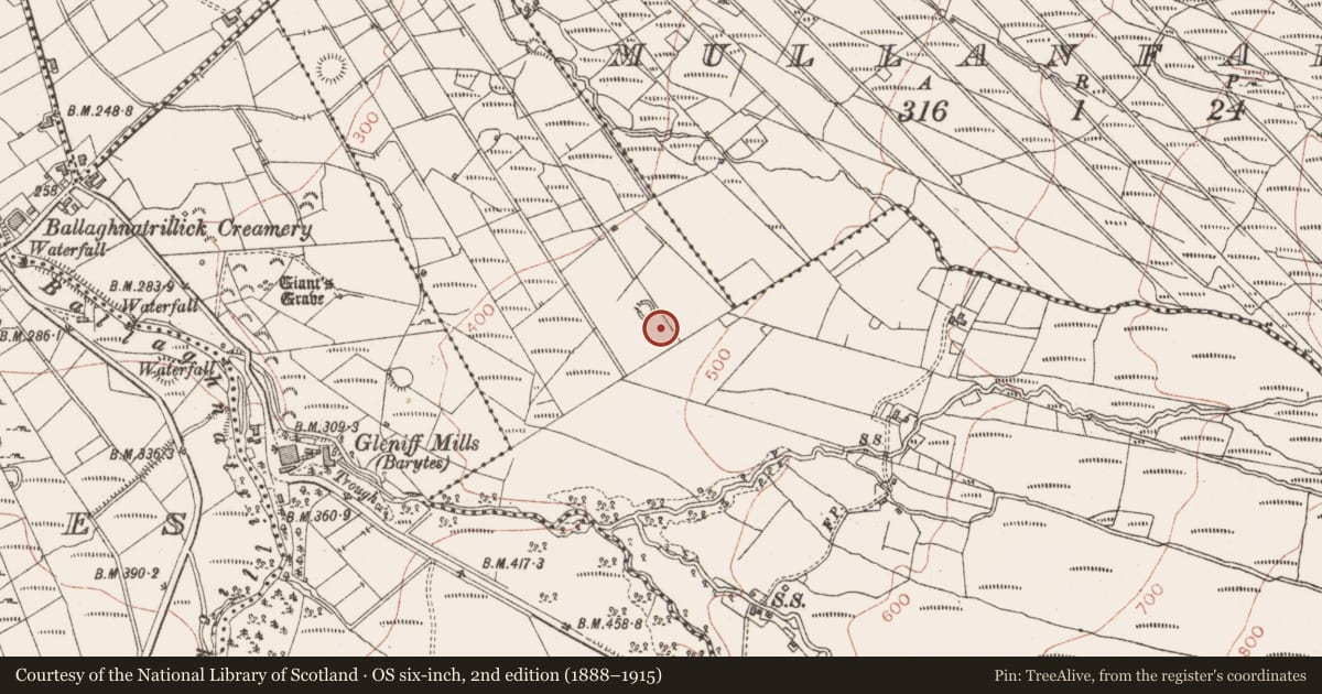 Ordnance Survey six-inch map, 2nd edition (1888–1915) covering the location of Hut site, Shancrock, County Sligo, with a pin at the register's coordinates