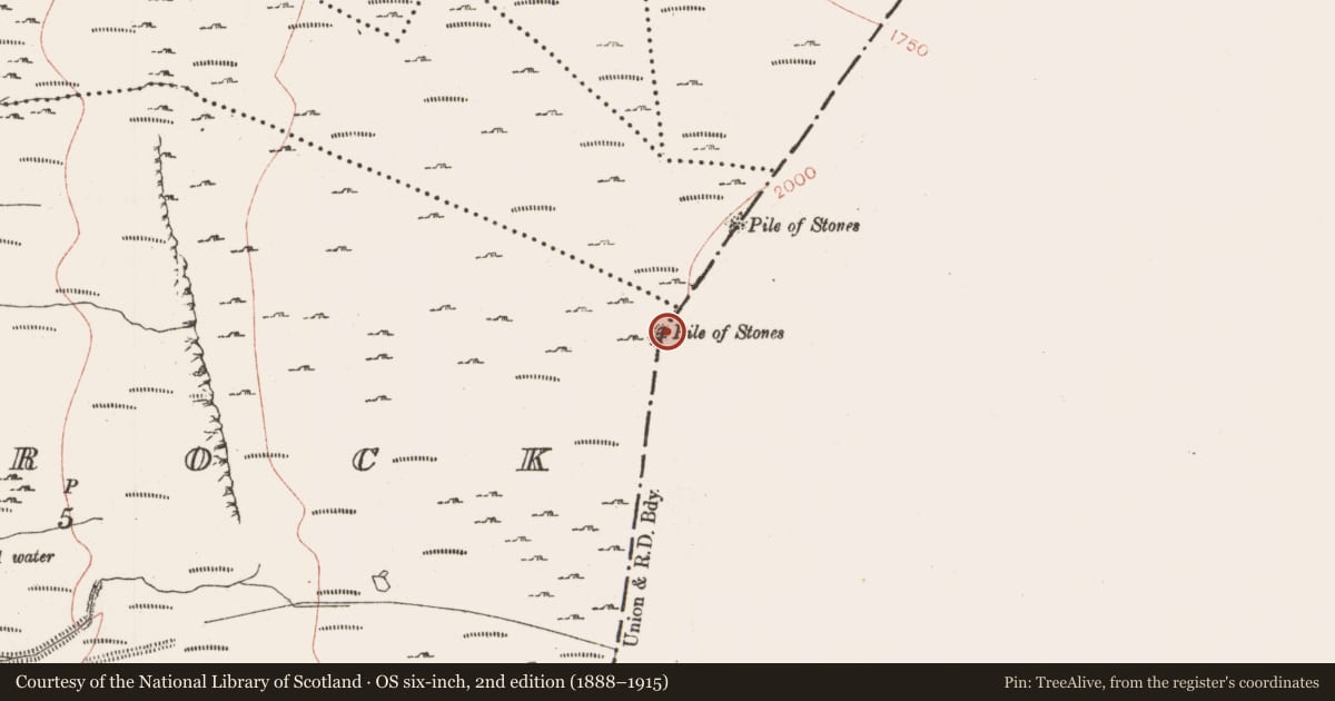 Ordnance Survey six-inch map, 2nd edition (1888–1915) covering the location of Cairn - boundary cairn, Shancrock, County Sligo, with a pin at the register's coordinates