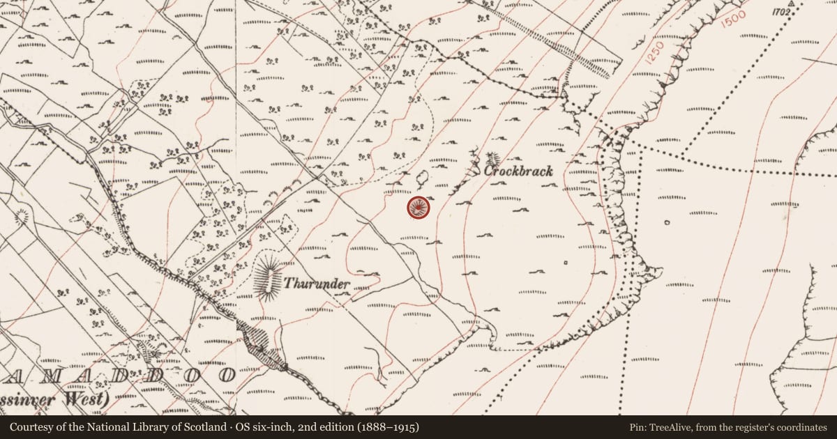 Ordnance Survey six-inch map, 2nd edition (1888–1915) covering the location of Enclosure, Derrylehan, County Sligo, with a pin at the register's coordinates