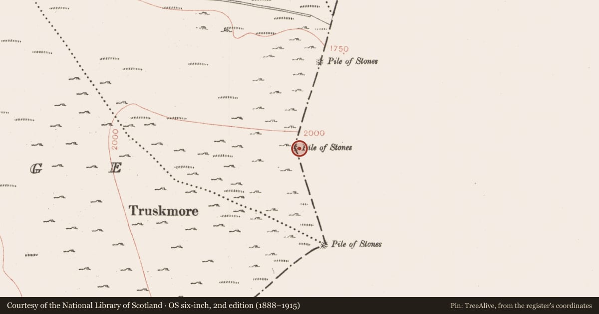 Ordnance Survey six-inch map, 2nd edition (1888–1915) covering the location of Cairn - boundary cairn, Clogh, County Sligo, with a pin at the register's coordinates