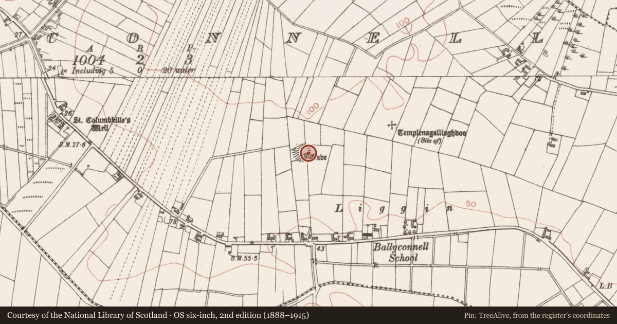 Ordnance Survey six-inch map, 2nd edition (1888–1915) covering the location of Ringfort - rath, Ballyconnell, County Sligo, with a pin at the register's coordinates
