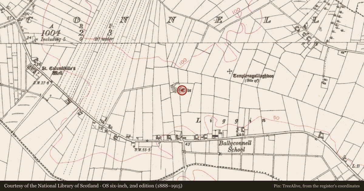 Ordnance Survey six-inch map, 2nd edition (1888–1915) covering the location of Souterrain, Ballyconnell, County Sligo, with a pin at the register's coordinates