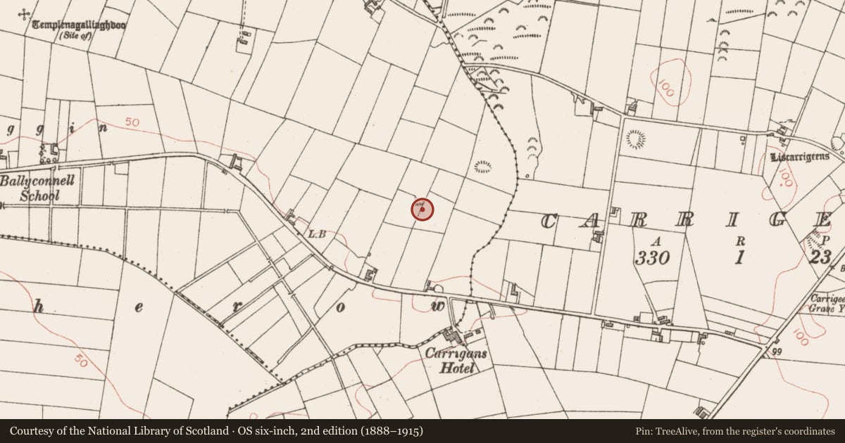 Ordnance Survey six-inch map, 2nd edition (1888–1915) covering the location of Ringfort - rath, Ballyconnell, County Sligo, with a pin at the register's coordinates