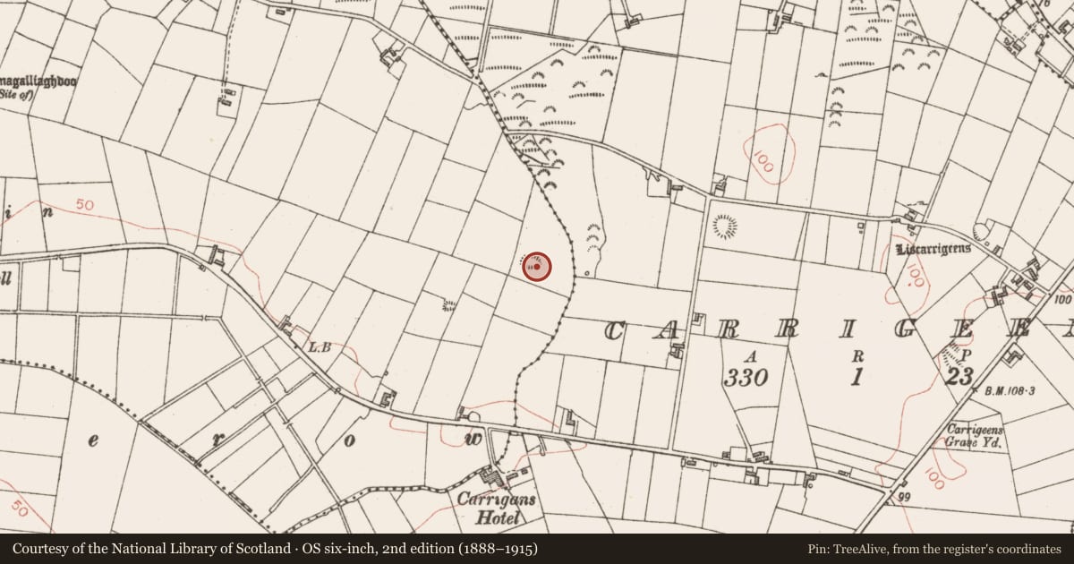 Ordnance Survey six-inch map, 2nd edition (1888–1915) covering the location of Ringfort - rath, Ballyconnell, County Sligo, with a pin at the register's coordinates