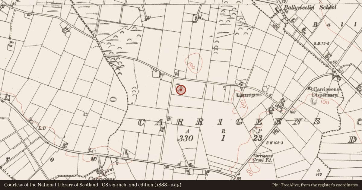 Ordnance Survey six-inch map, 2nd edition (1888–1915) covering the location of Ringfort - rath, Carrigeens, County Sligo, with a pin at the register's coordinates
