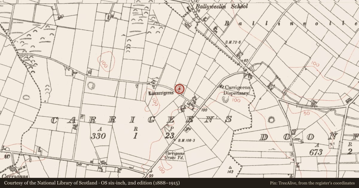Ordnance Survey six-inch map, 2nd edition (1888–1915) covering the location of Ringfort - rath, Carrigeens, County Sligo, with a pin at the register's coordinates
