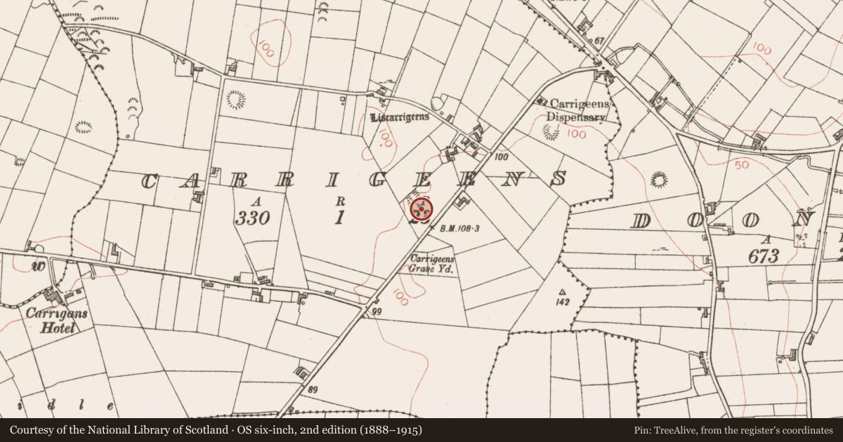 Ordnance Survey six-inch map, 2nd edition (1888–1915) covering the location of Ringfort - rath, Carrigeens, County Sligo, with a pin at the register's coordinates