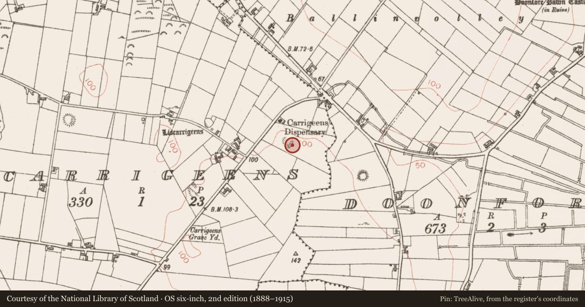 Ordnance Survey six-inch map, 2nd edition (1888–1915) covering the location of Ringfort - rath, Carrigeens, County Sligo, with a pin at the register's coordinates