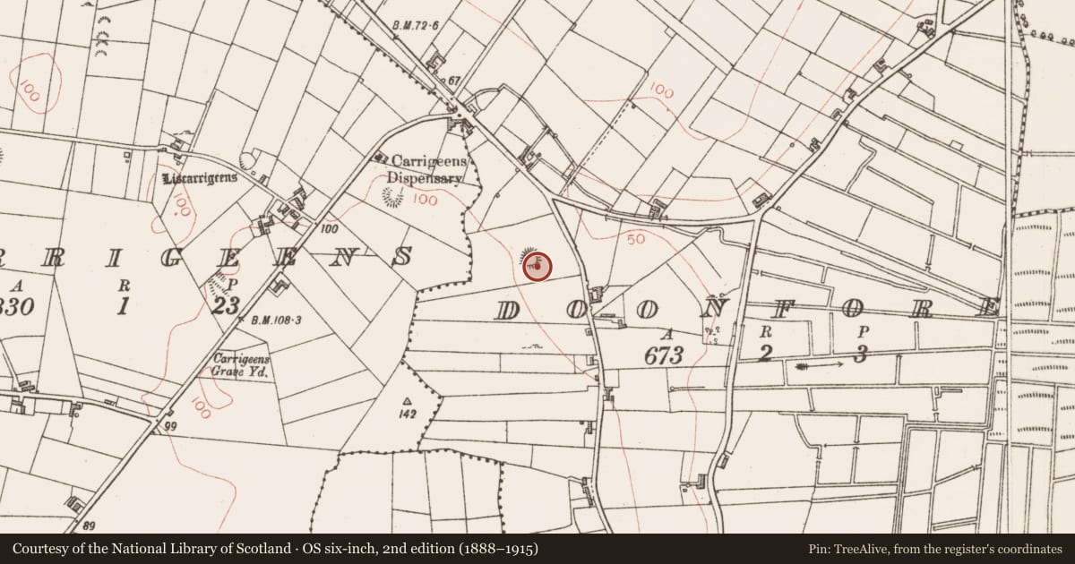 Ordnance Survey six-inch map, 2nd edition (1888–1915) covering the location of Ringfort - rath, Doonfore, County Sligo, with a pin at the register's coordinates