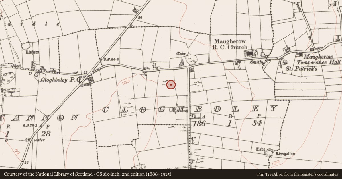 Ordnance Survey six-inch map, 2nd edition (1888–1915) covering the location of Megalithic tomb - court tomb, Cloghboley, County Sligo, with a pin at the register's coordinates